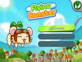 Flying Hamster  - Screenshot No.1