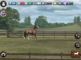 My Horse - Screenshot No.3