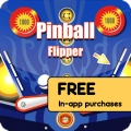 Pinball Flipper