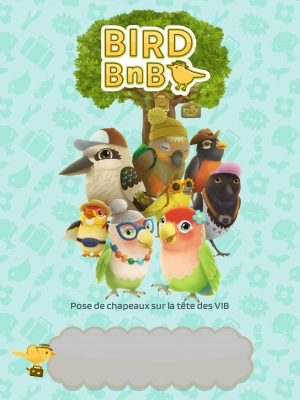 Bird bnb - Screenshot No.1