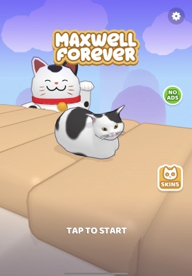 Maxwell Forever - Cat Game - Screenshot No.1